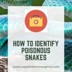 how-to-tell-a-poisonous-snake