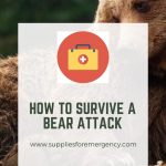 how-to-survive-a-bear-attack