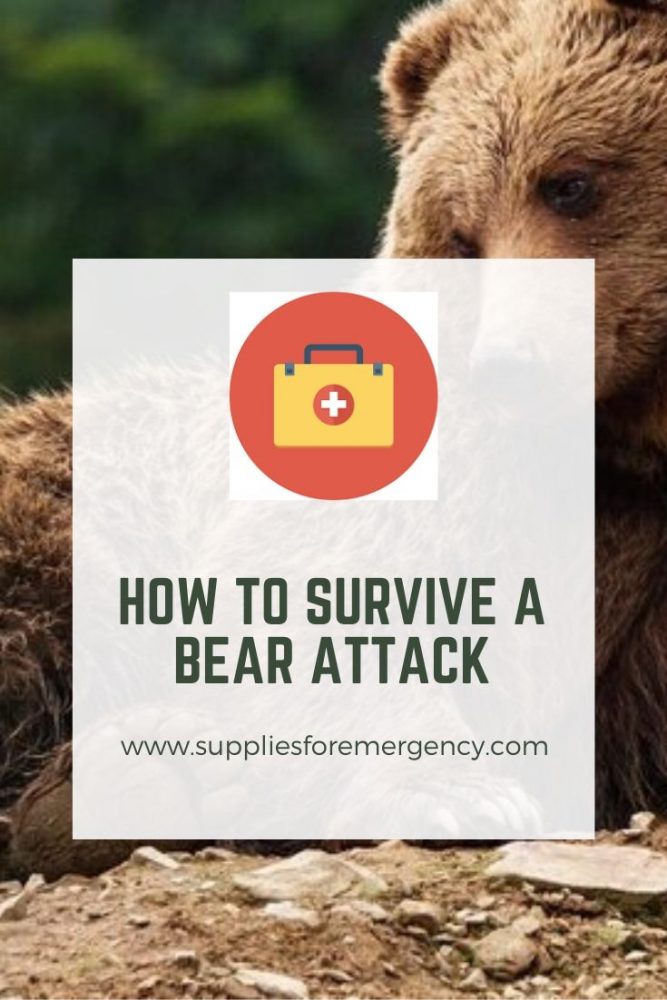 How to Survive a Bear Attack Black Bears, Brown Bears, Polar Bears
